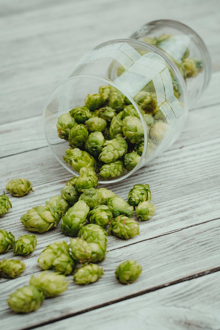 Hoppy or Bitter: What To Know